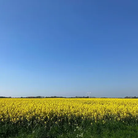 Haus Luetje Bries Сasa de vacaciones